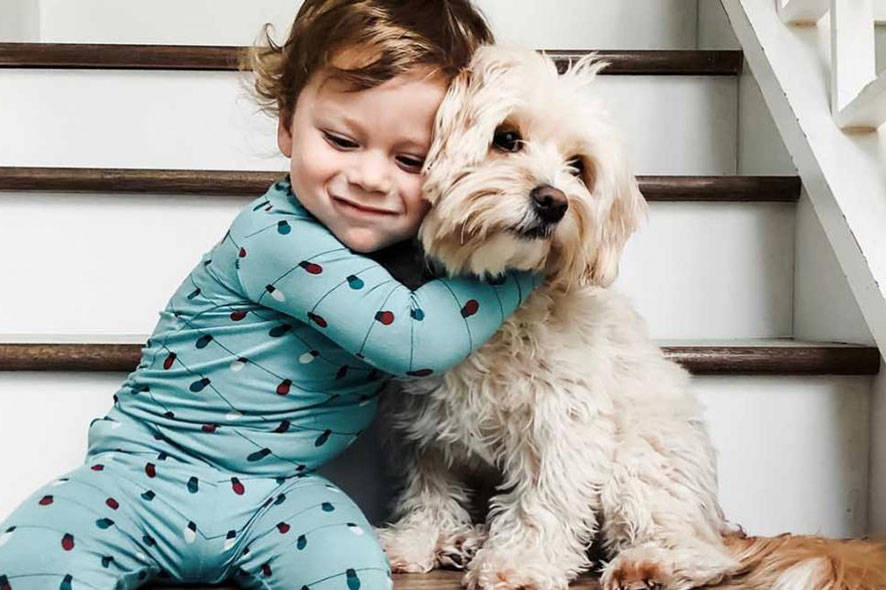 Child hugging a dog on the stairs